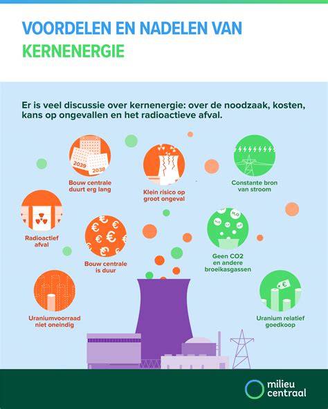 Infographic_over_hardsteen_voordelen_en_nadelen