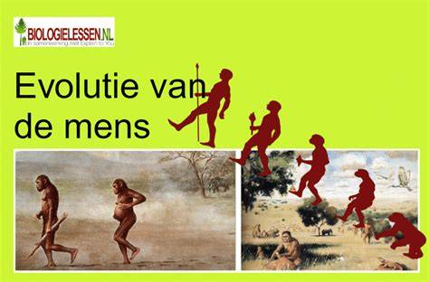 Infografiek: Evolutie EMTÉ-vestigingen door de jaren