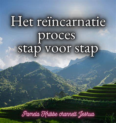 Infographic: overzicht van schilderdiensten en stap-voor-stap proces
