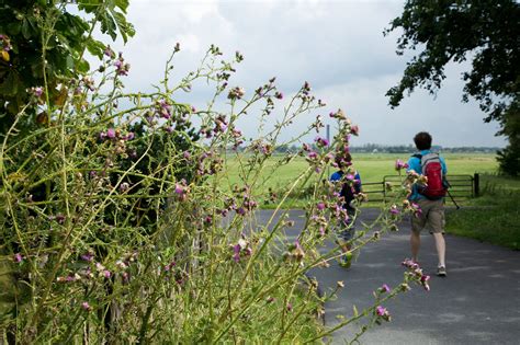 Foto’s en getuigenissen langs de wandelroute Groningen tijdens WO2