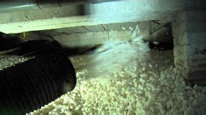Visualisatie: Drowa chips verspreiding onder vloer