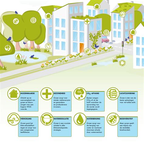 Infographic die de voordelen van verticaal groen toont (luchtzuivering, geluidsreductie, biodiversiteit)