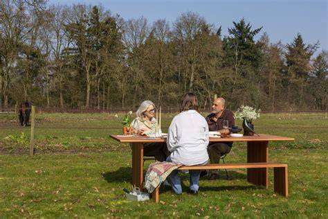 Driehoekige indeling van functioneel, sfeerverlichting en accentverlichting