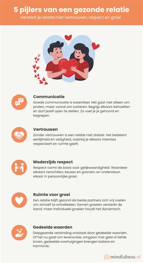 Infographic: overzicht van steenstrip-componenten en relaties