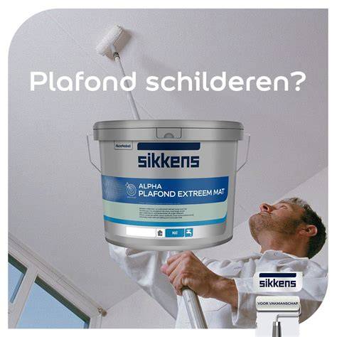 Infographic: Voorbereiding kamer bij plafondverf