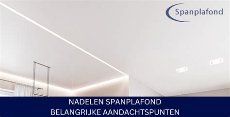 Voorbeeld van een naadloos spanplafond