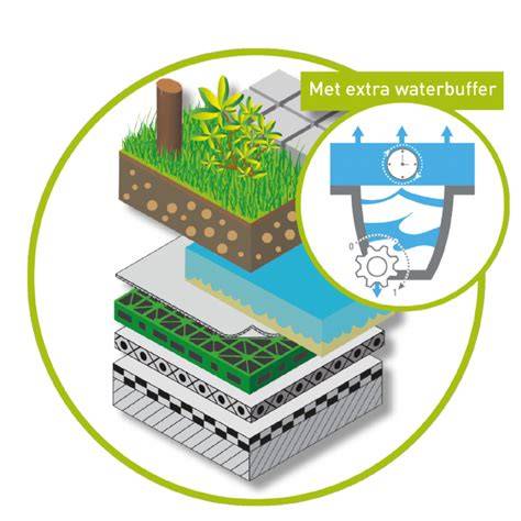 Infographic: Overzicht van multifunctionele dakoplossingen en waterretentie