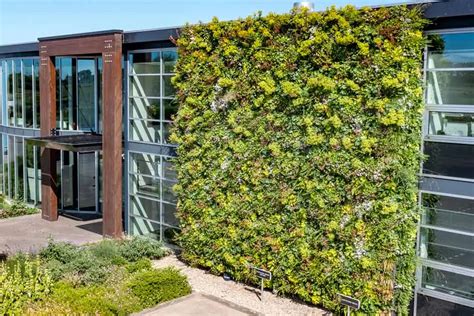Illustratie: impact van groene gevels op temperatuur, luchtkwaliteit en biodiversiteit