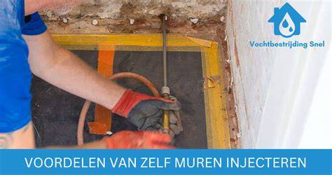 Infographic: Verschillende methoden tegen keldervocht (bekuiping, injecteren, drainage)