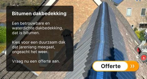 Diagram: Plaatsingspunten voor inspectie en aandachtspunten bij bitumen daken