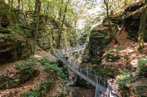 Foto: wandel- en rotslandschap Müllerthal