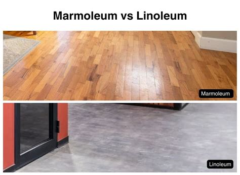 Infographic: Voor- en nadelen linoleum vs marmoleum