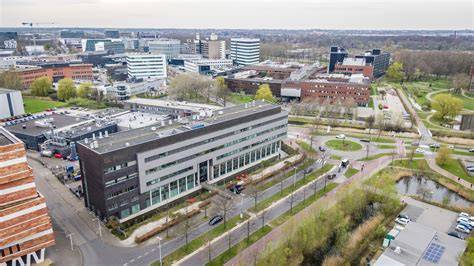Replicategels en herstelprojecten in Leiden