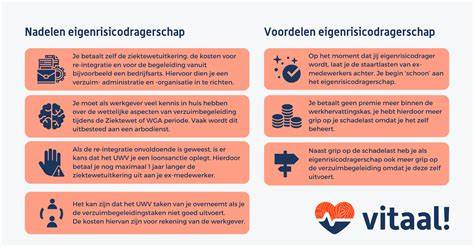 Weergave van veelvoorkomende nadelen en mitigaties