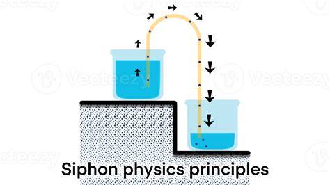 Sifon aansluitstappen diagram