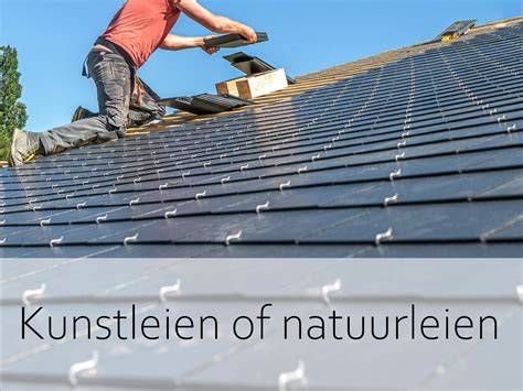 Infographic: Overzicht soorten leien (natuurleien, kunstleien, bitumen leien) met kenmerken en levensduur