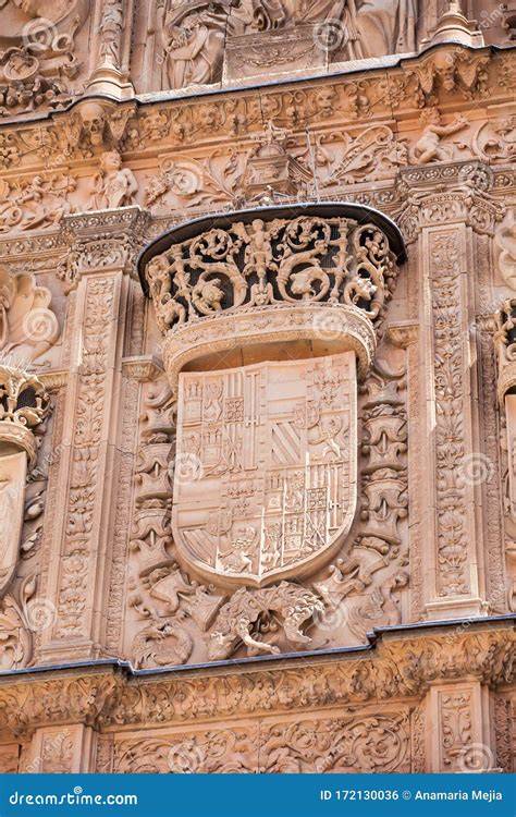 Gevel en ornamenten van de Universiteit van Salamanca, platereske details en de kikker-symboliek