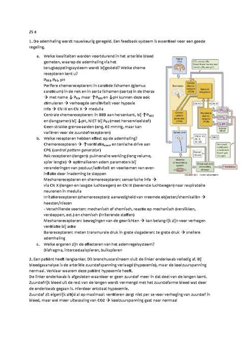 Diagram: routes van asbestblootstelling en longgezondheid