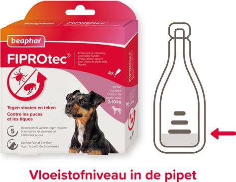 Diagram: werking van spot-on, tablet en injectie tegen vlooien