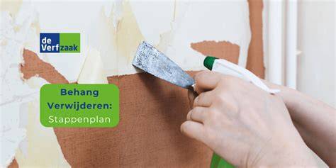 Infographic: Stappenplan draagmuur verwijderen