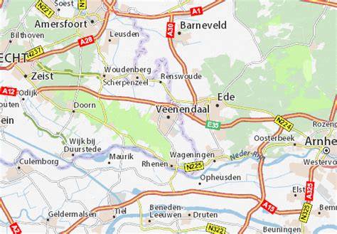 Kaart van Veenendaal met locaties van incidenten rondom Dak van de Markt