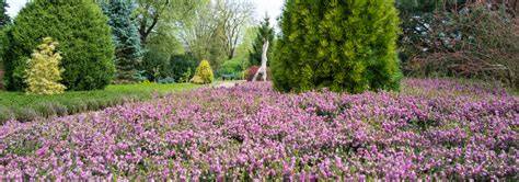Infographic: tijdlijn en hoogtepunten van Arboretum De Dreijen