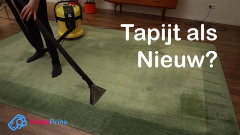 Infographic: Juiste stappen voor Reinigen van Tapijt en Vloerkleed