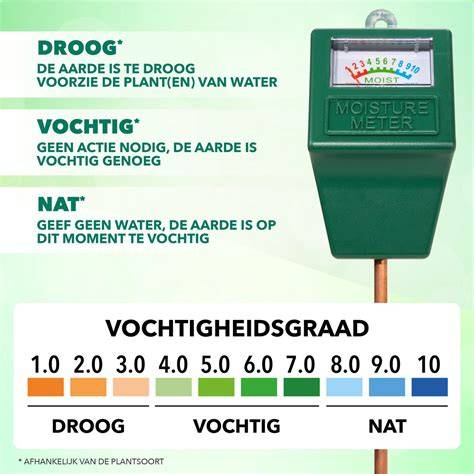 Infographic: vochtmeter principes en interpretatie