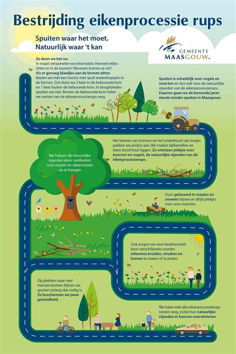 Infographic: Asbestregels en sloopmeldingstappen in Maasgouw