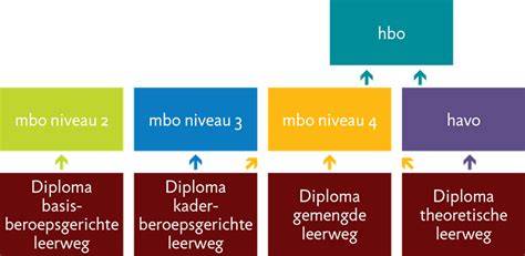 Diagram: Cursusniveaus, examen en doorstroommogelijkheden