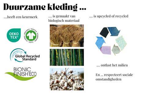 Infographic: overzicht van voorgestelde merken en hun kernwaarden (duurzaamheid, snelheid, kwaliteit)