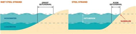 Infographic: Uitleggetij - eb, vloed en springtij