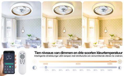 Infographic: vergelijkingskaart van plafondventilatoren met en zonder lamp
