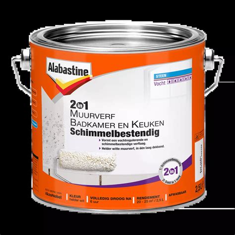 Infographic: Werking en toepassing van Alabastine 2-in-1 Badkamer en Keuken muurverf