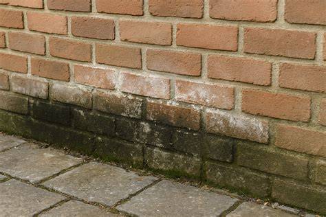 Infographic: Oorzaken en oplossingen optrekkend vocht buitenmuur