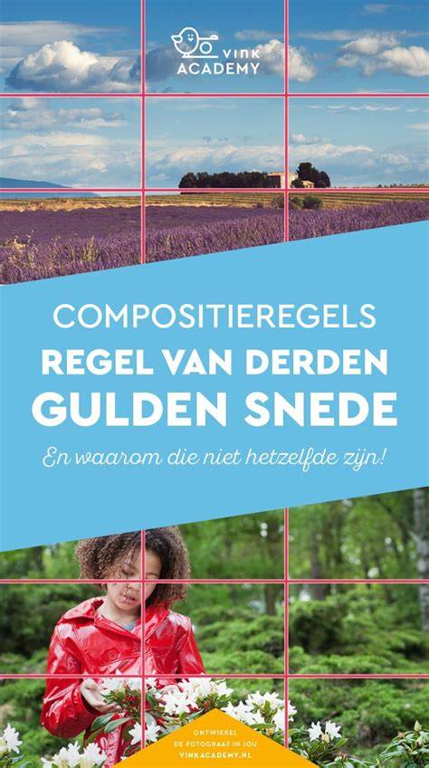 Infographic: Regel van derden en voeding van scherptediepte