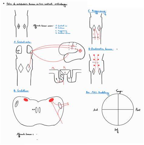 Diagram: materiaaltypes en hun onderhoudsbehoefte