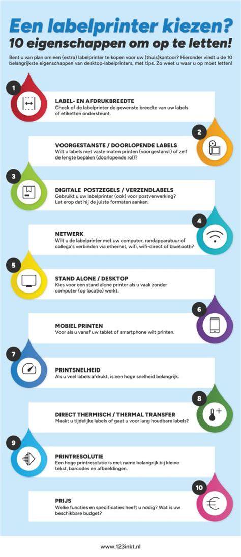 Infographic: stappenplan voor kiezen van de juiste schilder in Leeuwarden