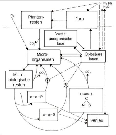 Schematische illustratie van ontkalkingsprocedure