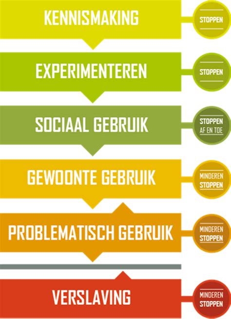 Illustratie van verschillende stadia van het maken van een betonnen trog, inclusief mal, betonmix en afgewerkt product.