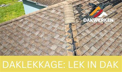 Infographic: Oorzaken van daklekkage en snelle stappen