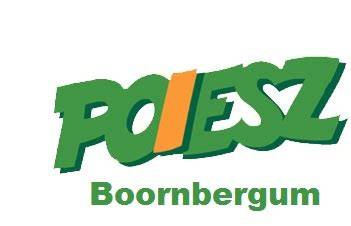 Infographic: dienstverlening Poiesz Boornbergum en Menaam