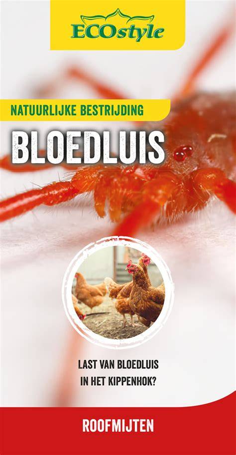 Infographic over bloedluis bestrijding en betonplex toepassingen