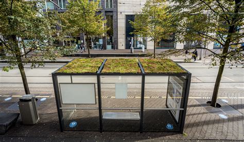 Infographic: Groene bushokjes en sedumdaken impact op stedelijke omgeving