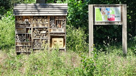 Insectenhotel op gevel gericht naar zuiden, met een afdakje en bloeiende planten rondom