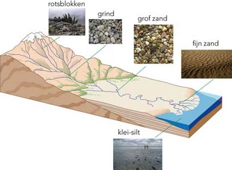 Afbeelding van verschillende absorptiemiddelen zoals zaagsel en zand
