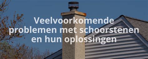 Infographic met veelvoorkomende dakgootproblemen en hun oplossingen.