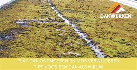 Infographic: Stappenplan ontmossen plat dak