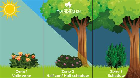 Locatiekeuze tuin met zon en schaduw