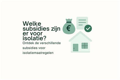 Infografiek: subsidies en rendement op isolatie